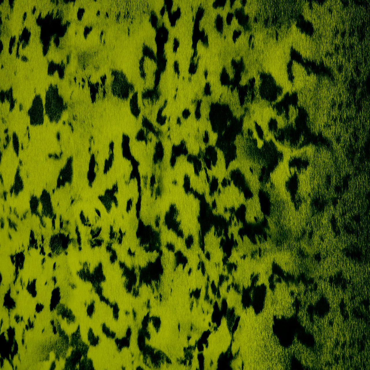 Commander® Seal Skin - Northern Lights Green (Aurora)