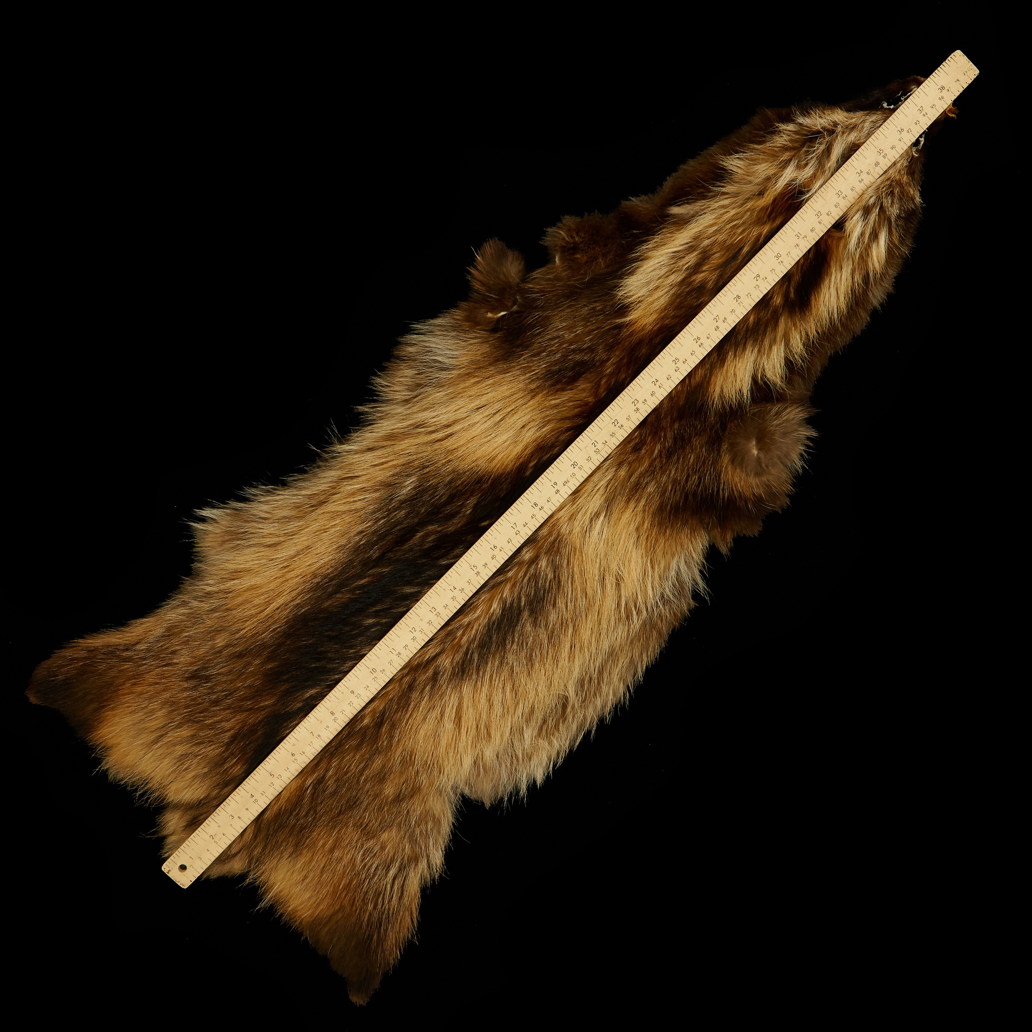 finland raccoon design tippet／品番H／日本製❣️ Finnish Raccoon Fur Pelt - SL Fur & Leather