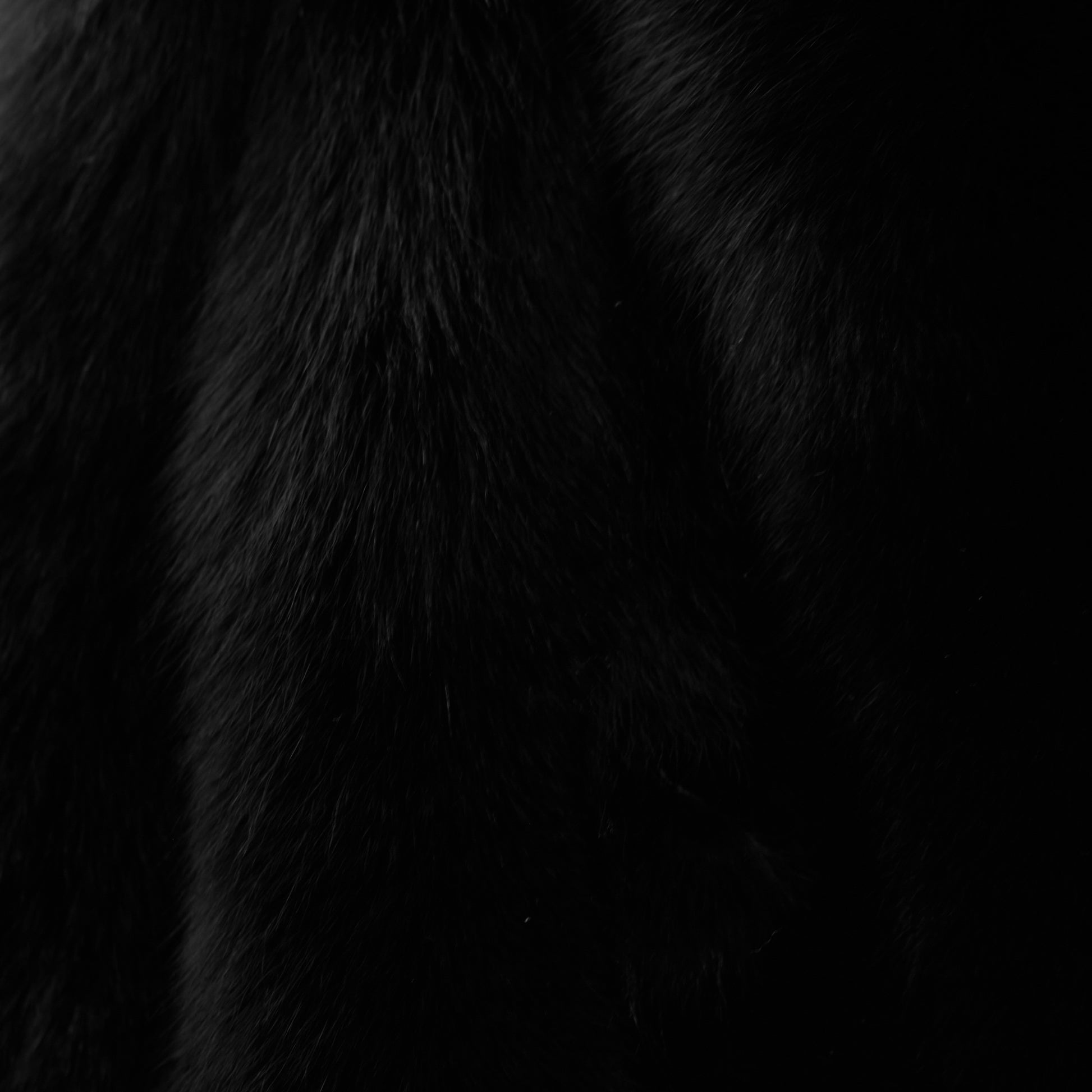 Dyed Norweigan Blue Fox Fur - Black (detail)