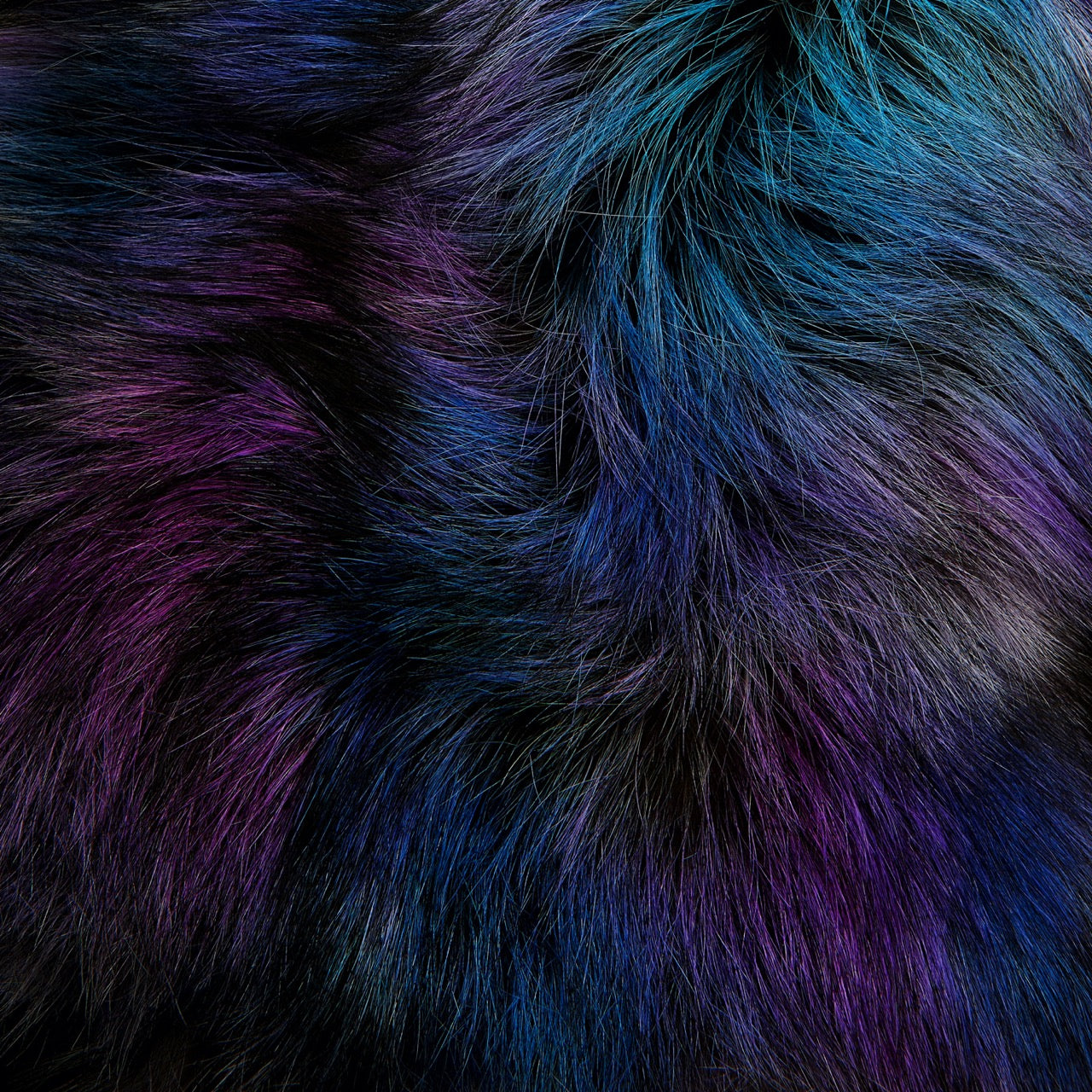 Silver Fox - Purple Galaxy (Special/Unique Dyes) - detail