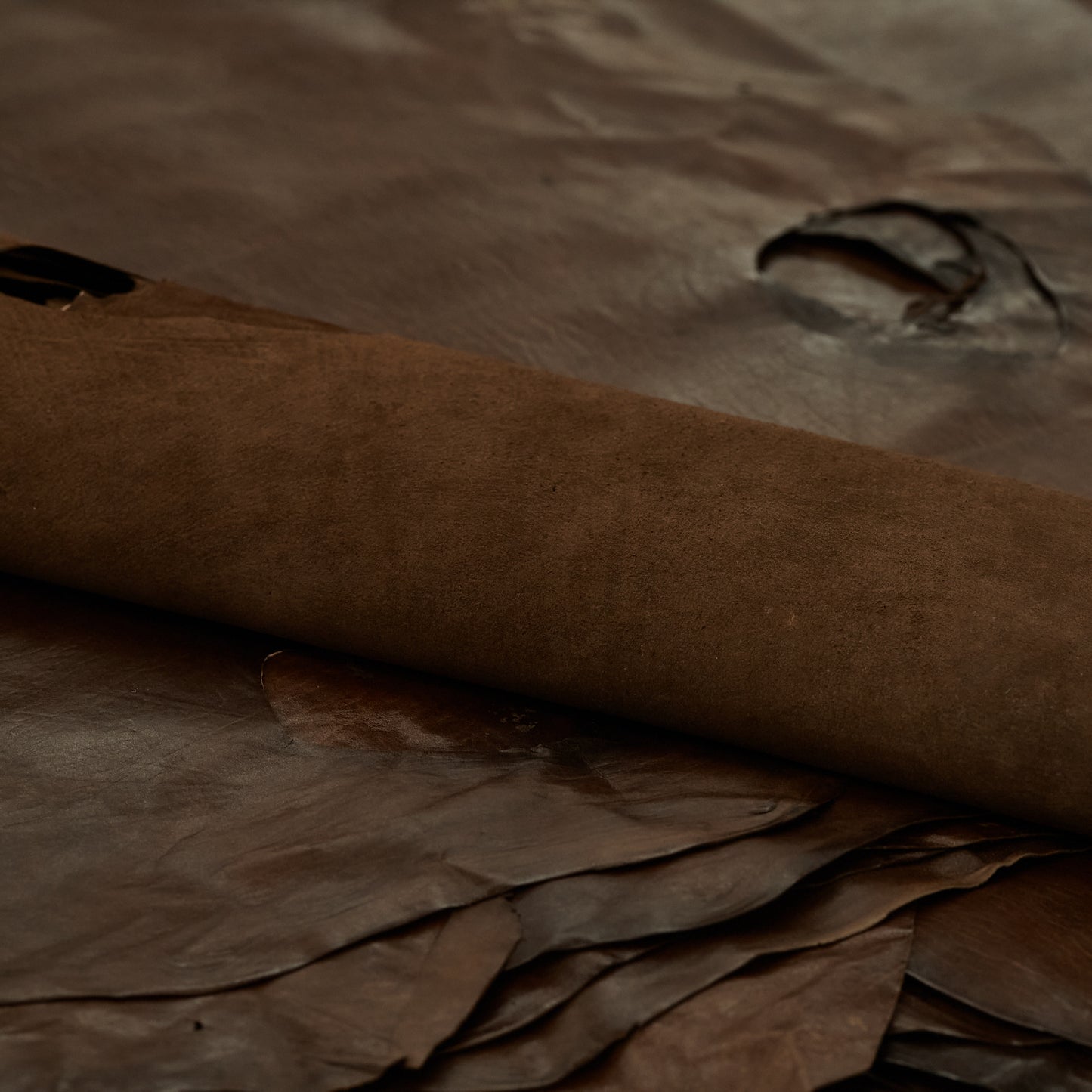 ethically sourced Harp Seal Leather - Brown (roll)