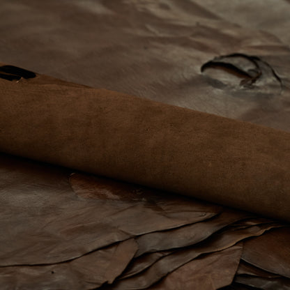 ethically sourced Harp Seal Leather - Brown (roll)