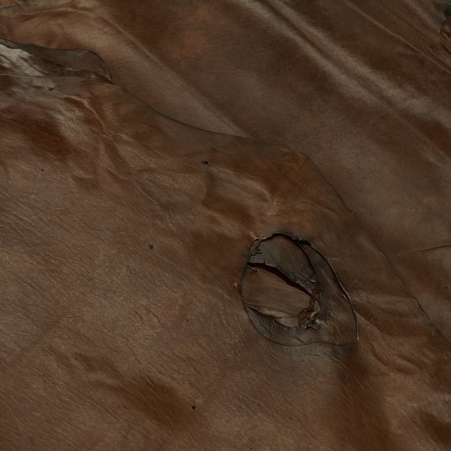 Canadian Harp Seal Leather - Brown (flat)