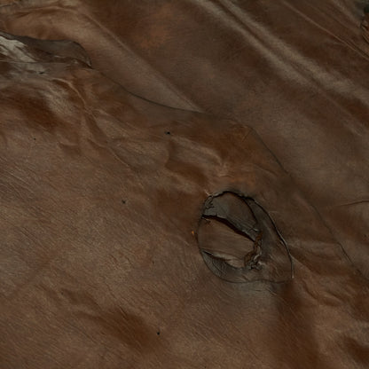 Canadian Harp Seal Leather - Brown (flat)