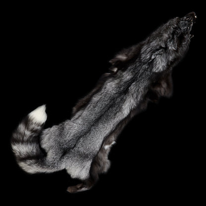 Indigo (Blue Frost) Fox - flat
