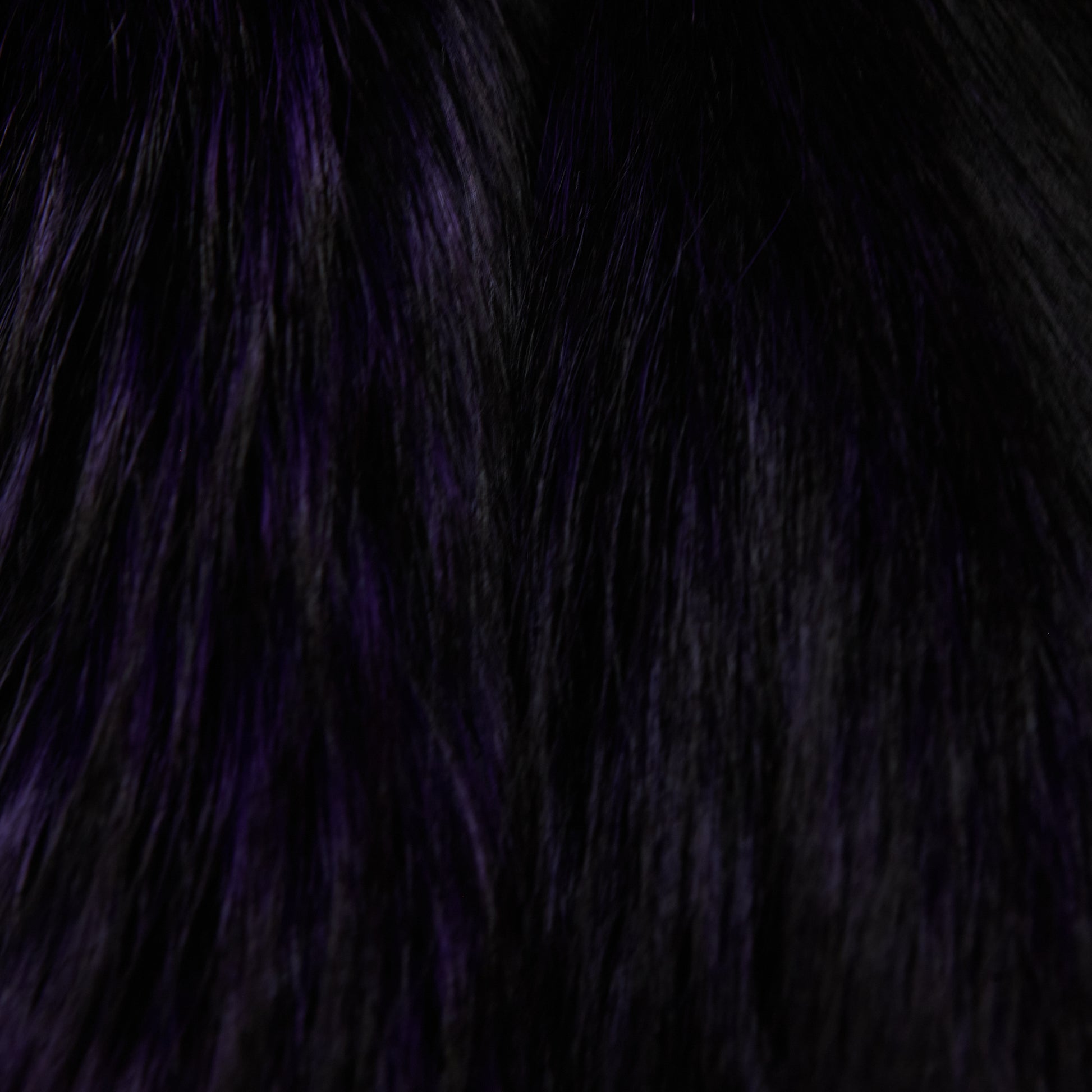 Silver Fox - Special/Unique Dyes - Gucci Purple (detail)