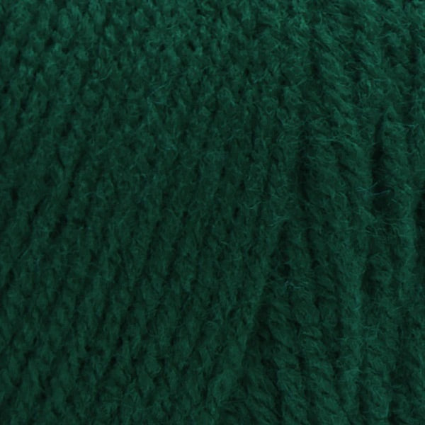 Red Heart® Super Saver - Paddy Green (detail)