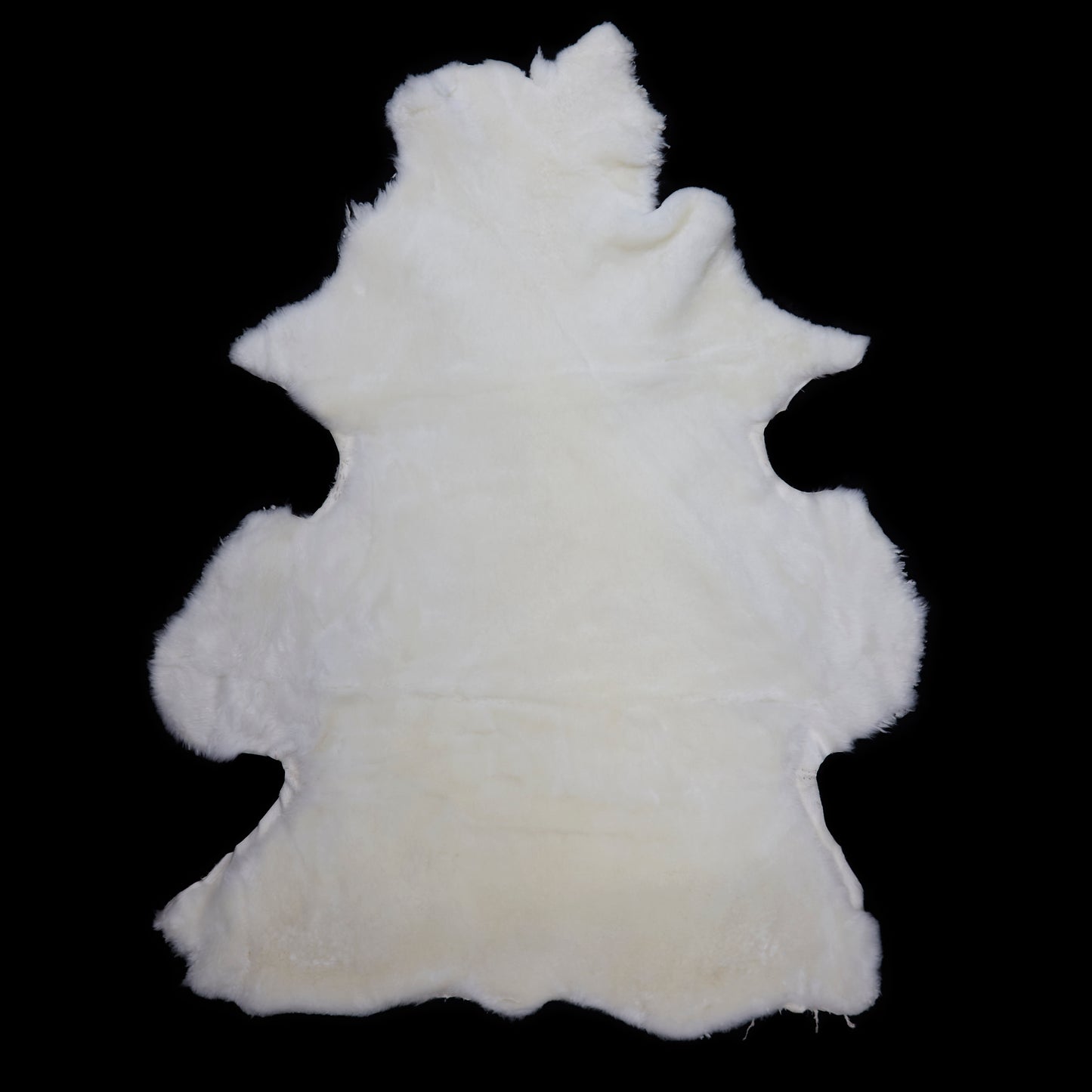 Sheared Sheepskin - White