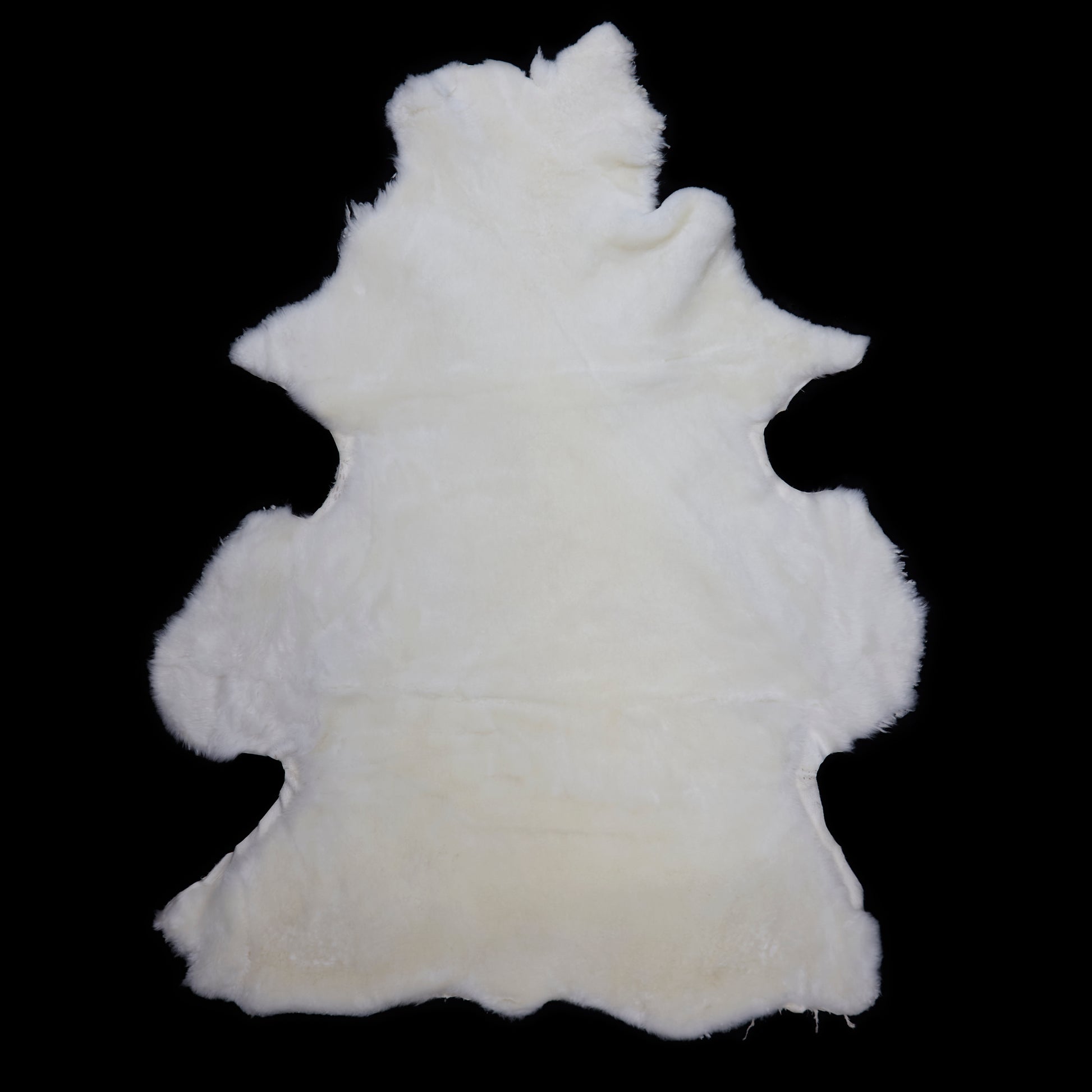 Sheared Sheepskin - White