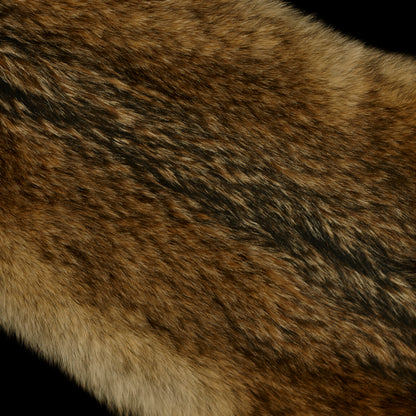 Timber Wolf (detail)