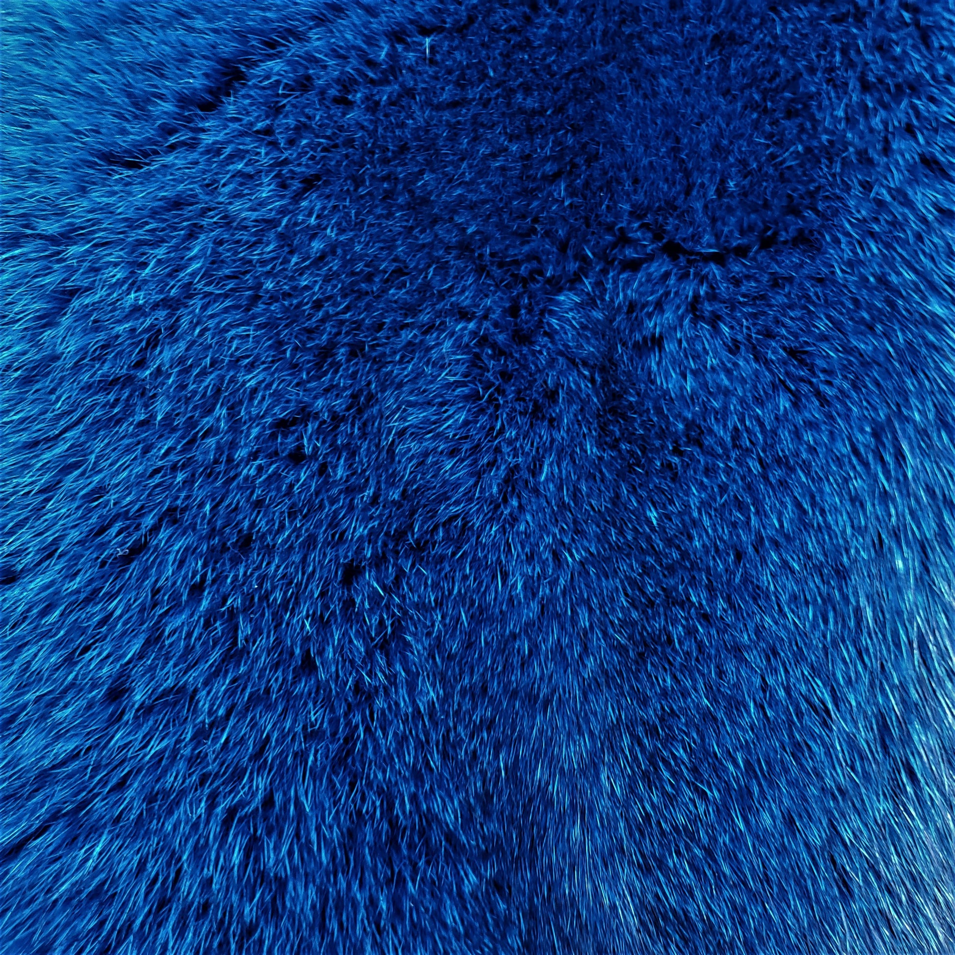 Dyed Norweigan Blue Fox Fur - Pacific Blue