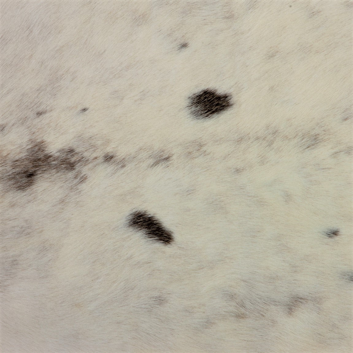 Caribou / Reindeer Skin - White (detail)