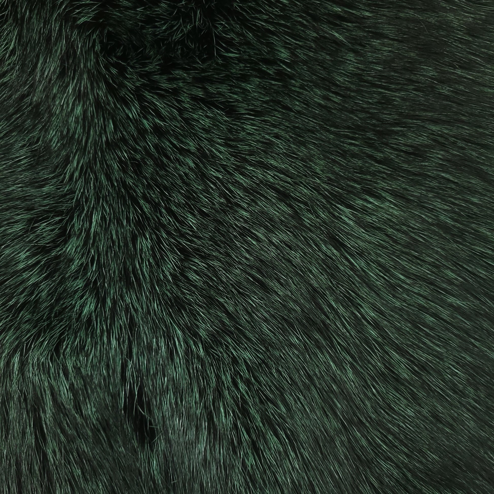Close-up of dyed algonquin green fox fur.