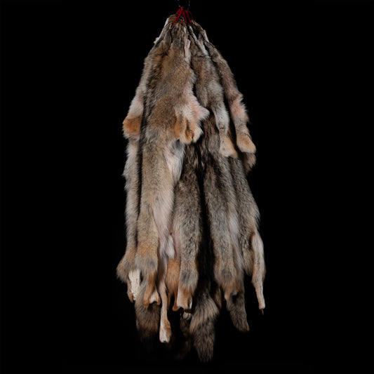 Coyote Fur Pelt Dark jumbo