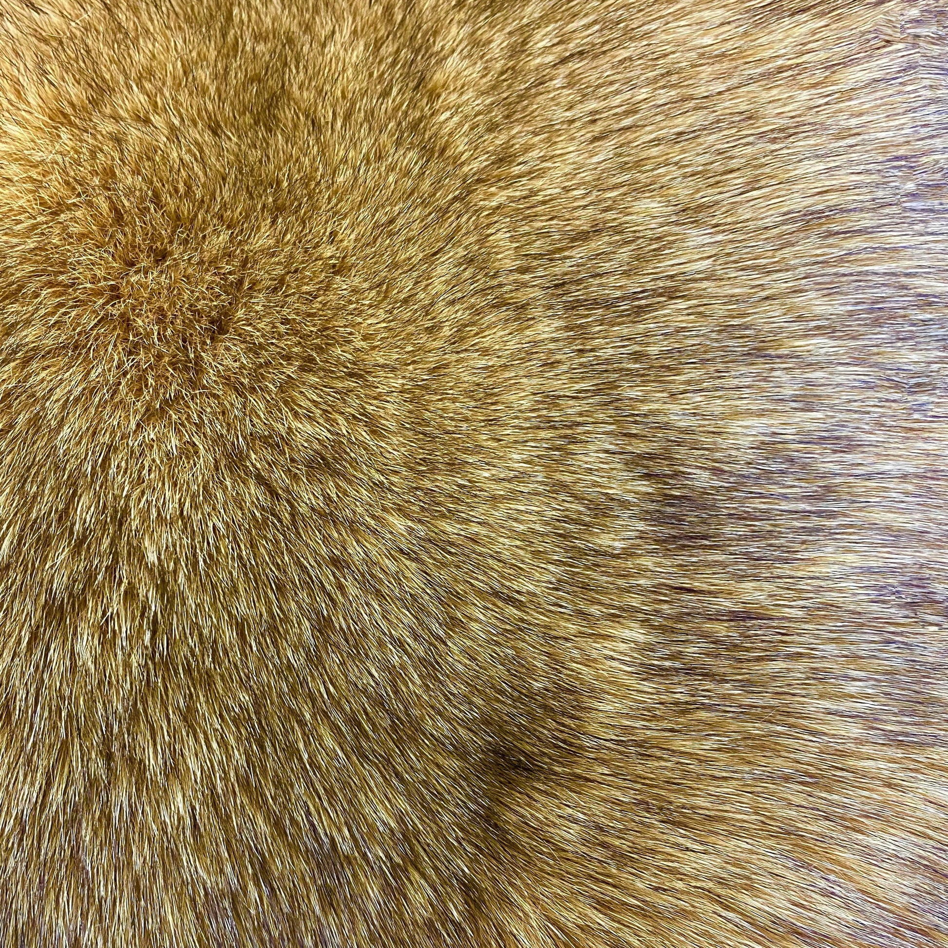 Close-up of a section of dyed Norwegian blue fox fur, showcasing the texture and color.