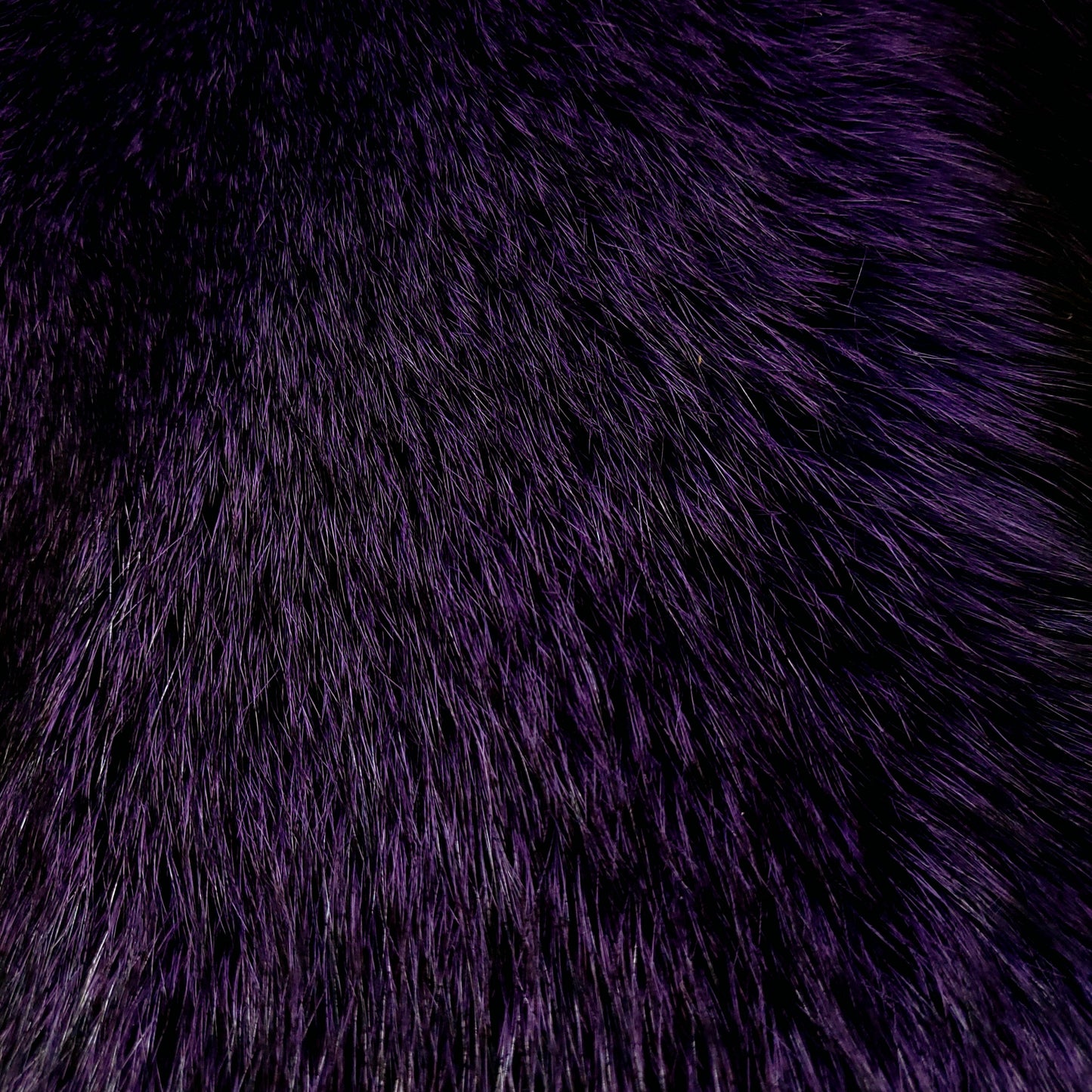 Indigo Fox Fur, Dyed Gucci Purple