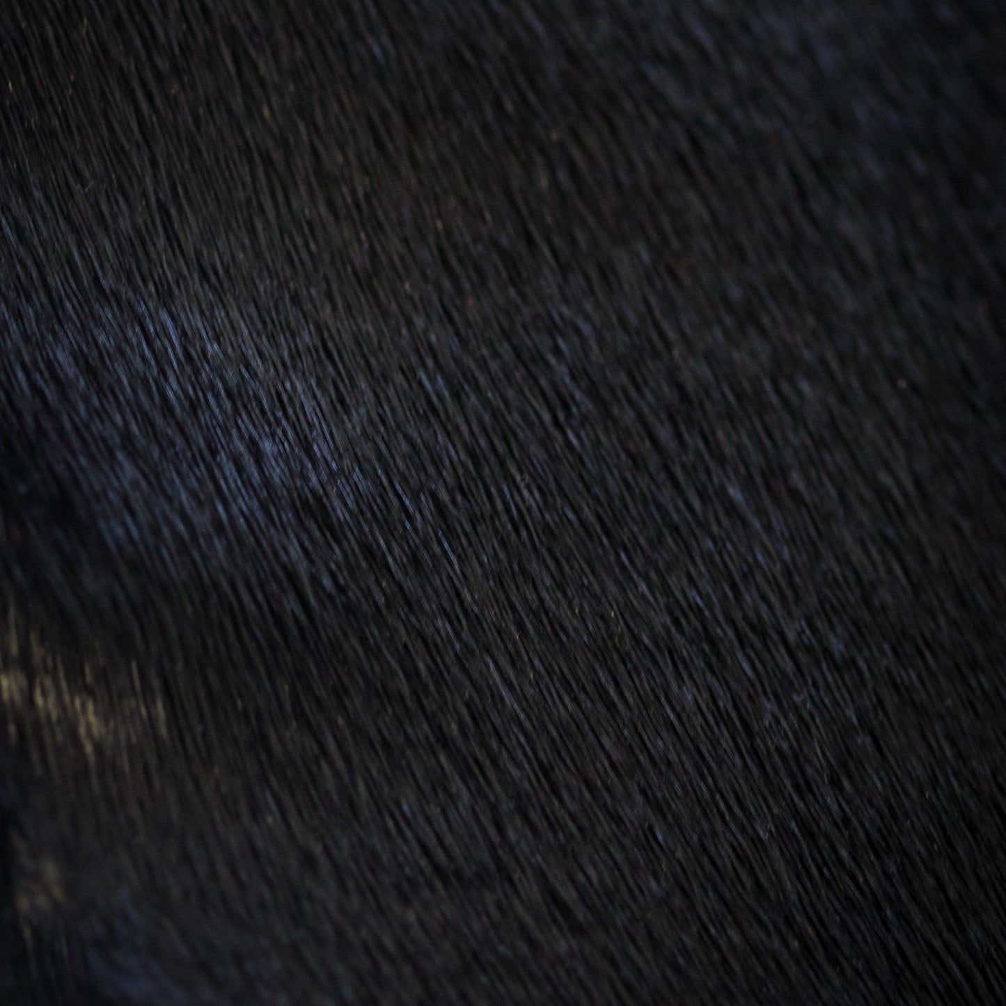 Dyed Harp Seal Skin - Black, texture