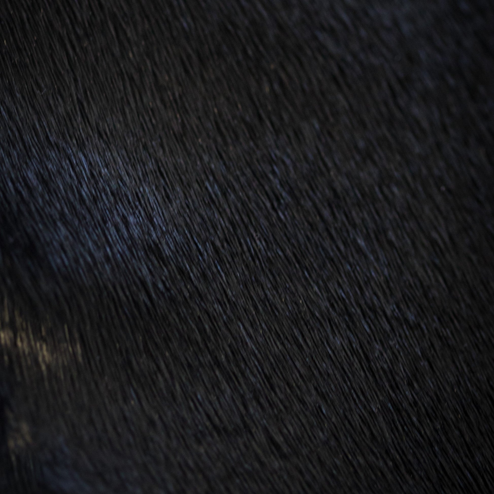 Dyed Harp Seal Skin - Black, texture