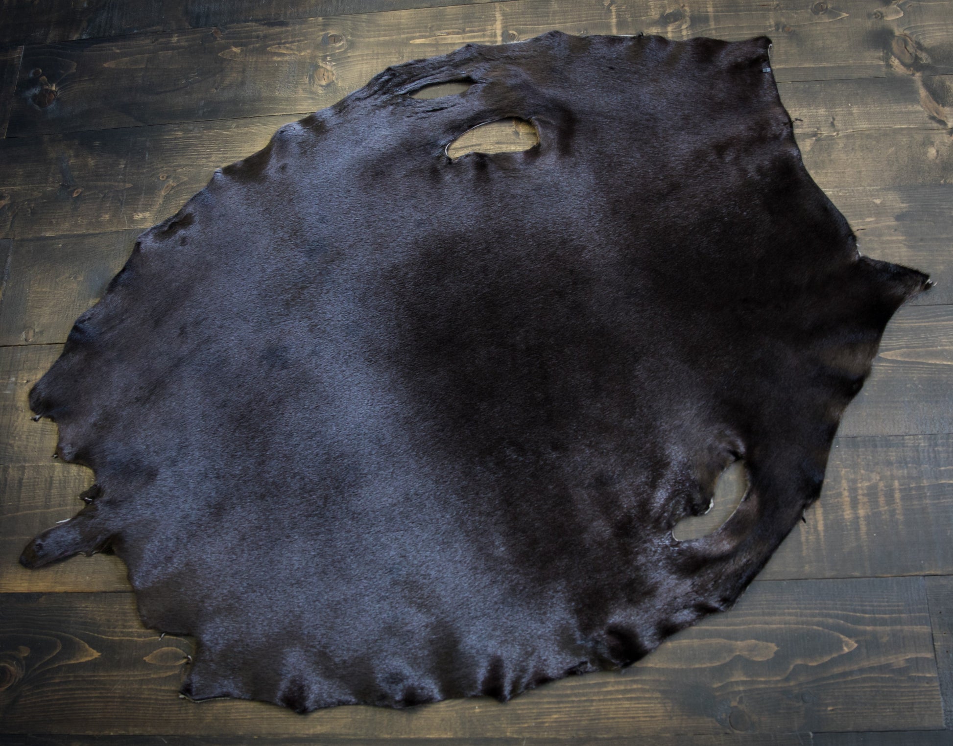 Dyed Harp Seal Skin - Dark Brown