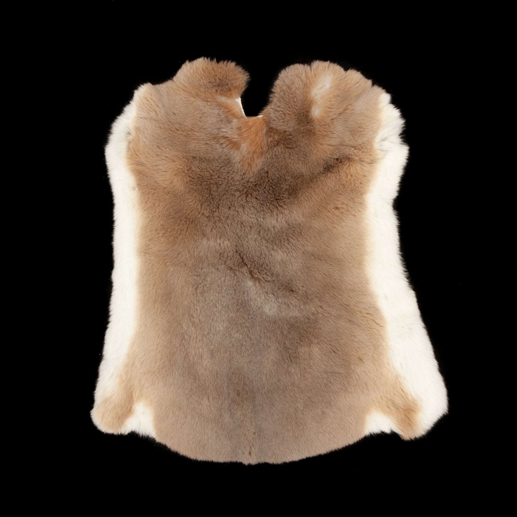 Rex Rabbit Fur - Beige (full)