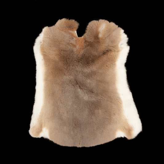 Rex Rabbit Fur - Beige (full)