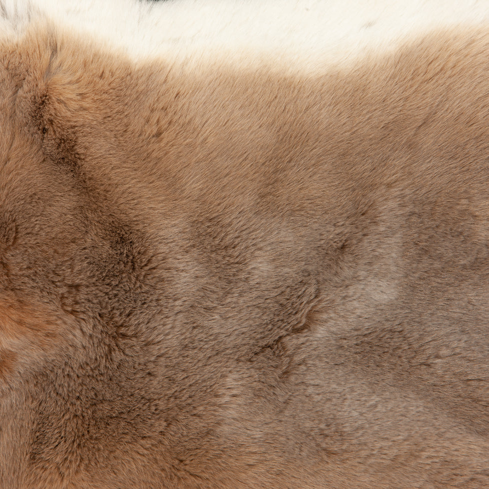 Rex Rabbit Fur - Beige (detail)