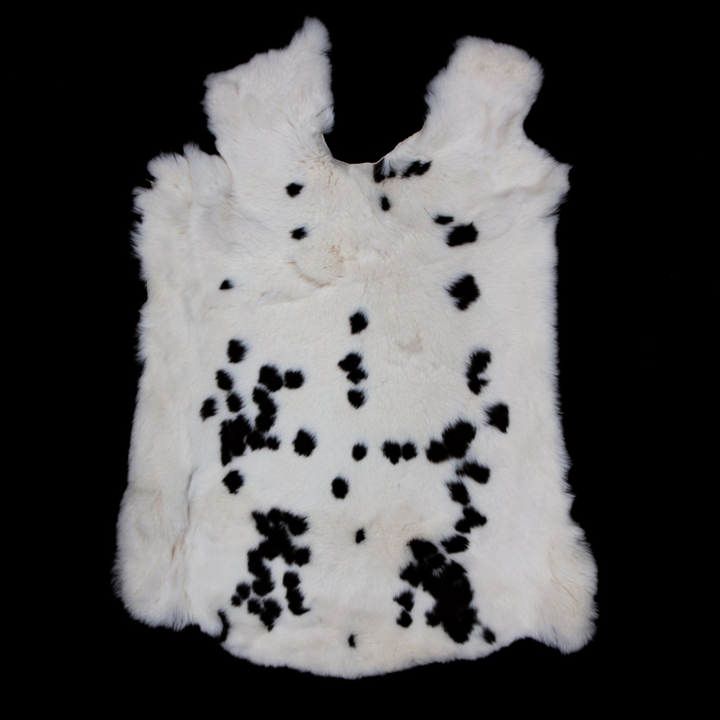 Rex Rabbit Fur - Spotted (full)