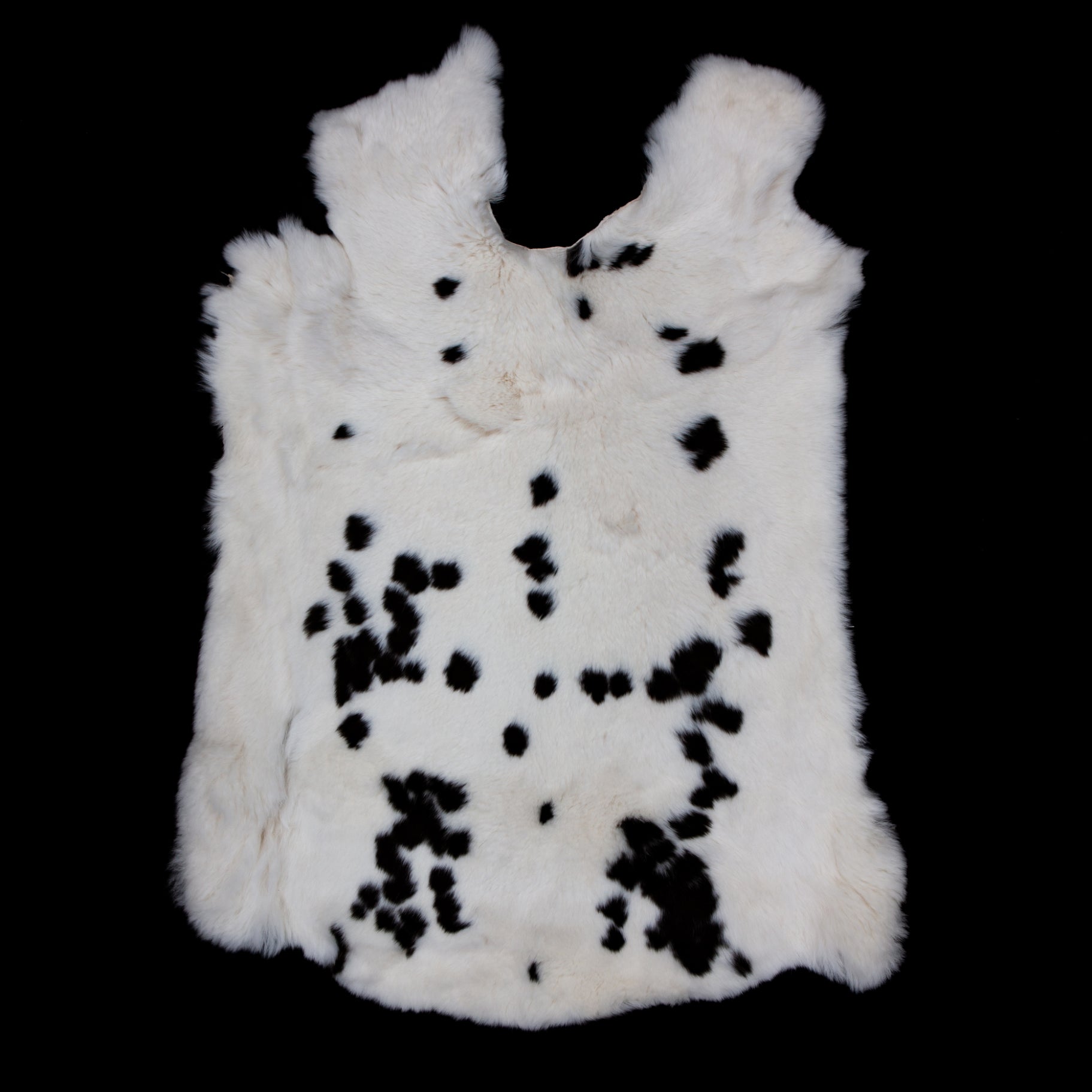 Rex Rabbit Fur - Spotted (full)