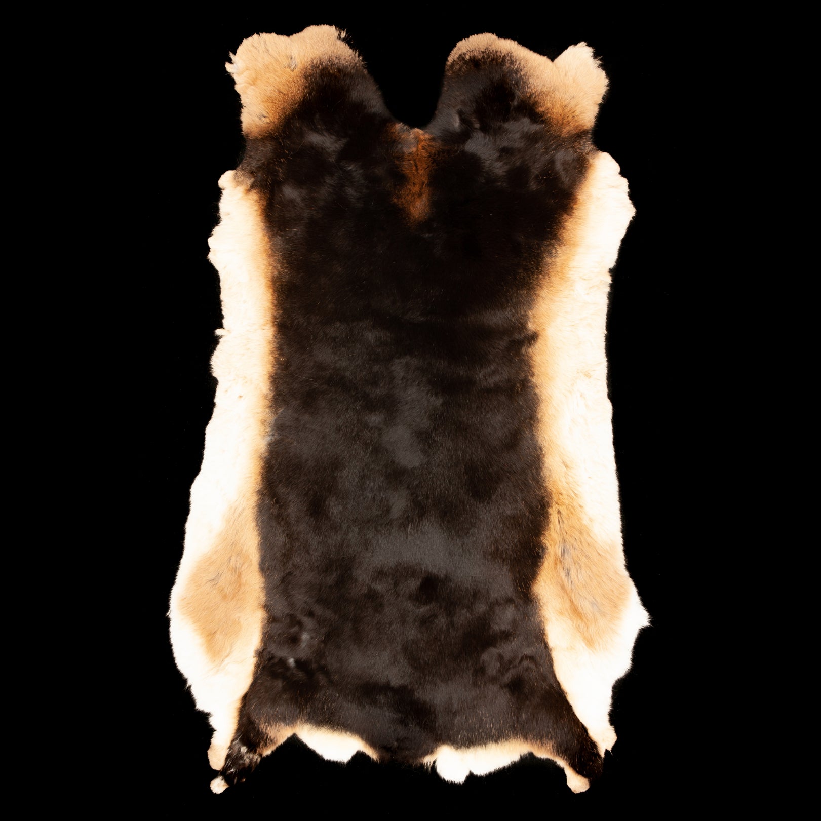 Rex Rabbit Fur - Brown / Tan (full)