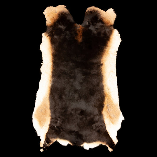 Rex Rabbit Fur - Brown / Tan (full)