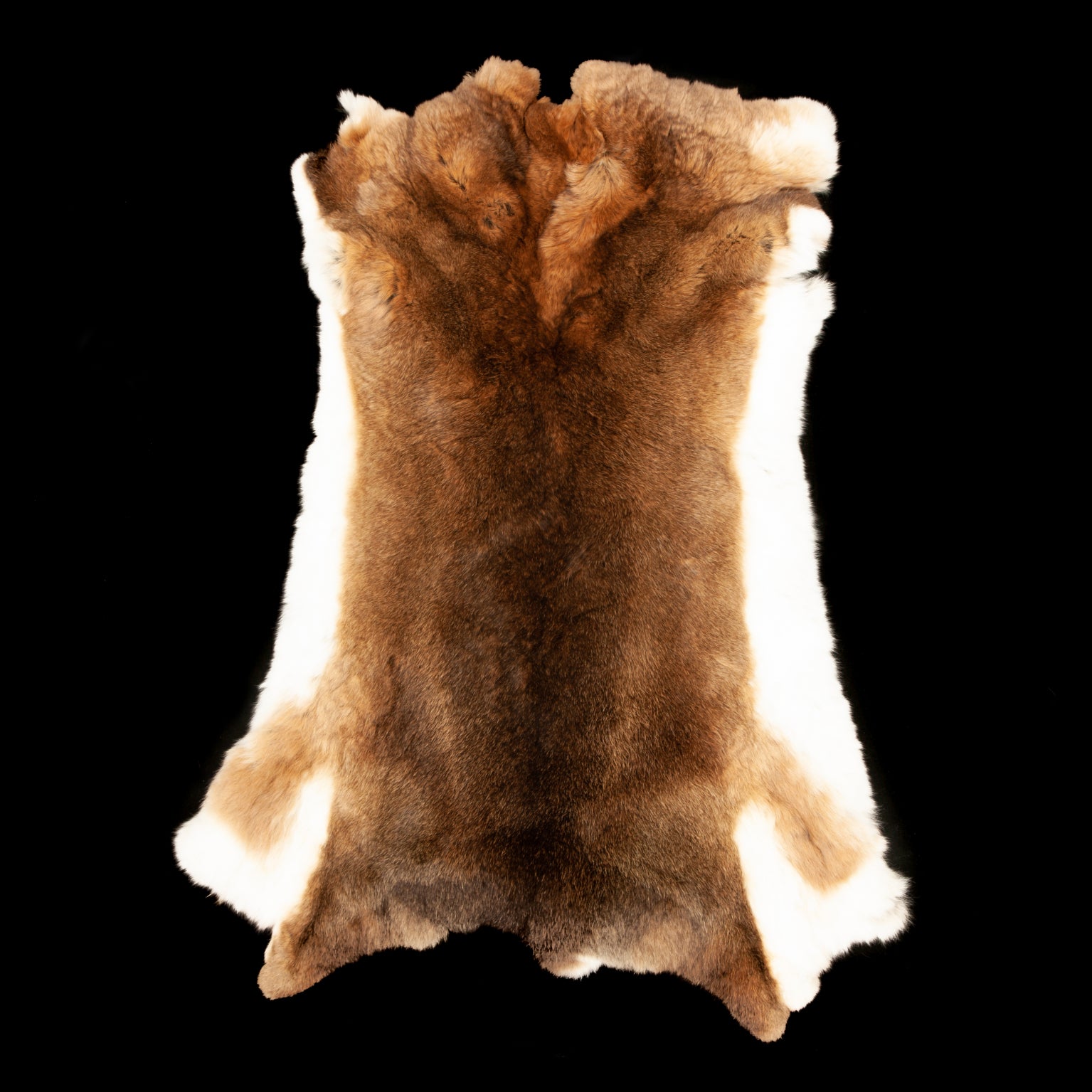Rex Rabbit Fur - Natural (full)