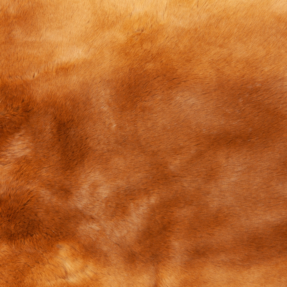 Rex Rabbit Fur - Pastel (detail)
