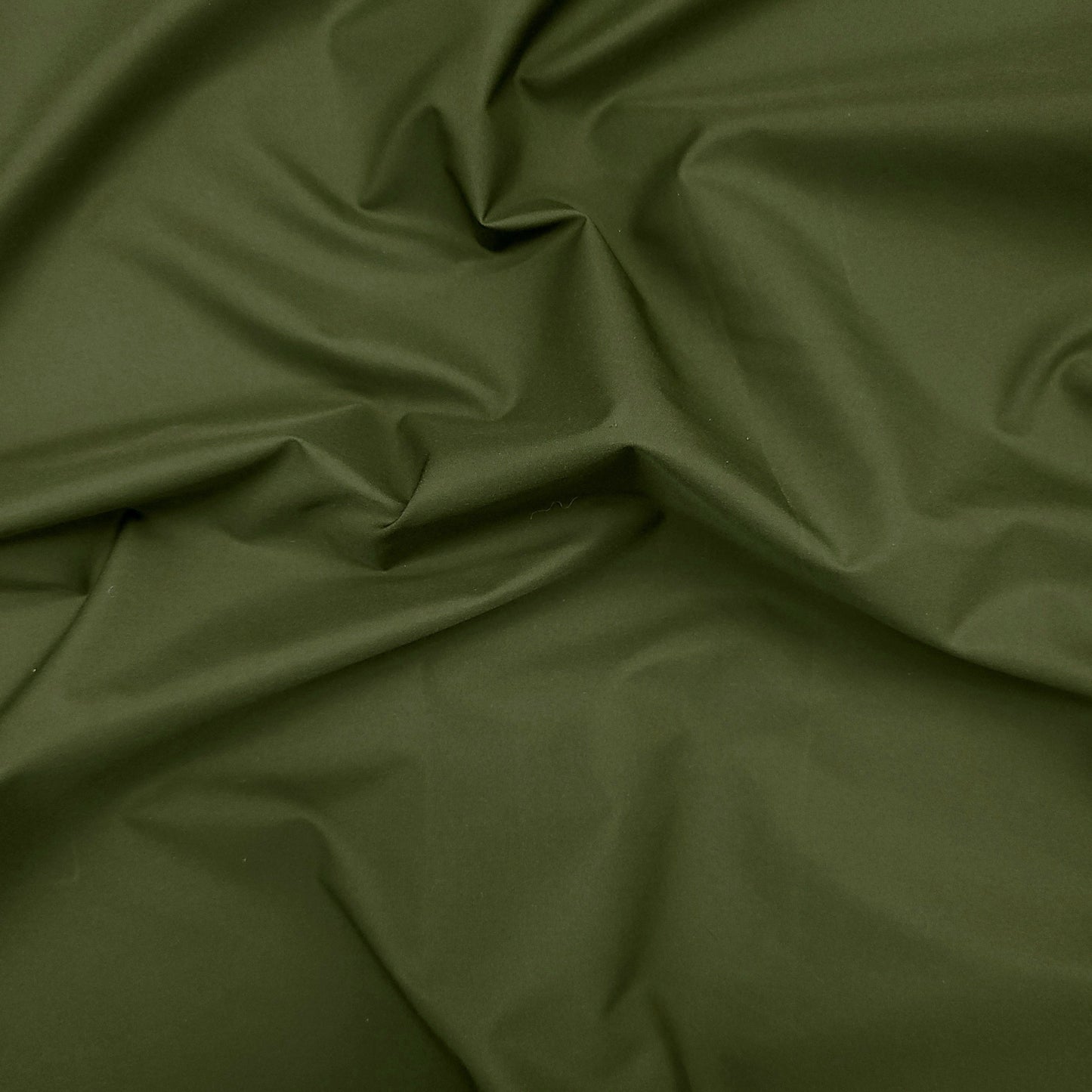 Whirlwind Olive