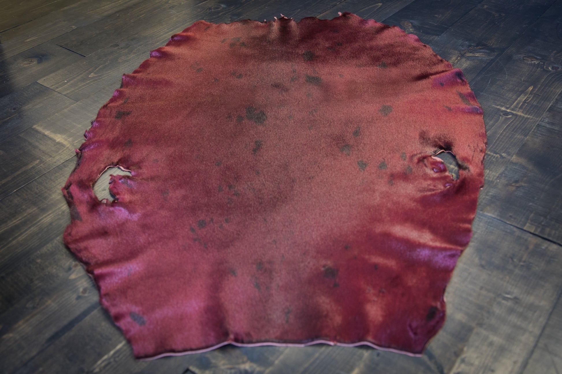 Dyed Harp Seal Skin - Burgundy