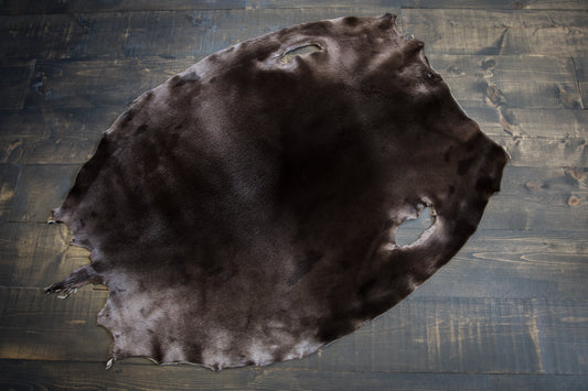 Dyed Harp Seal Skin - Cacao